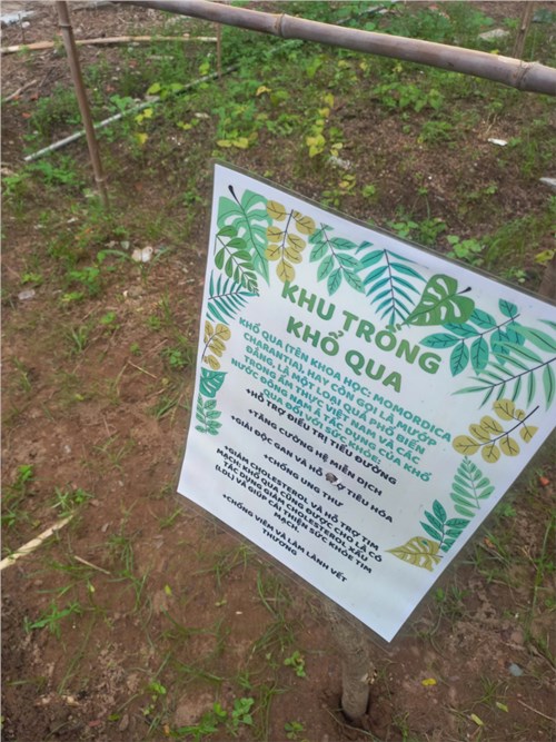 Chuyên đề stem: vườn cây dược liệu