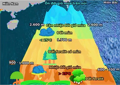 Hoạt động chuyên môn tổ Địa lí tháng 01/2026